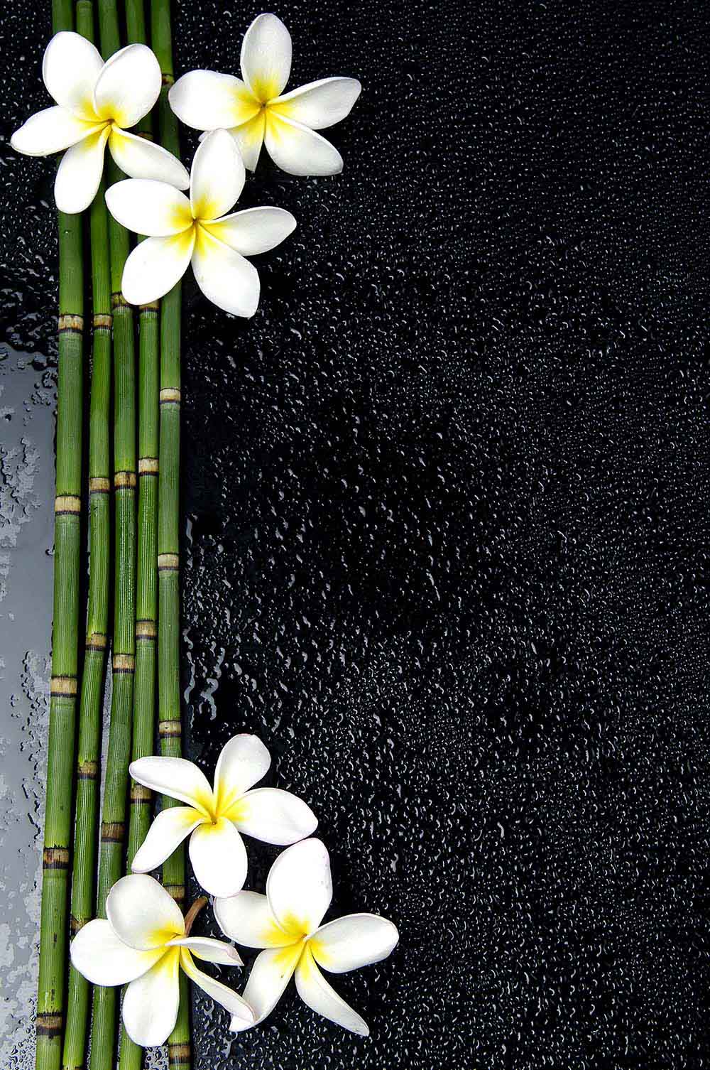 Цветы и растения - 15 | Wall-Style