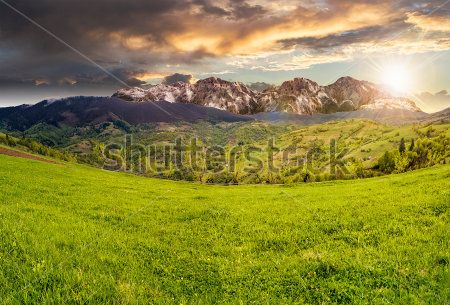 Каталог Картина поле: Природа | Wall-Style