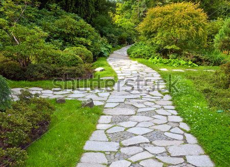 Каталог Фотообои парк:  | Wall-Style