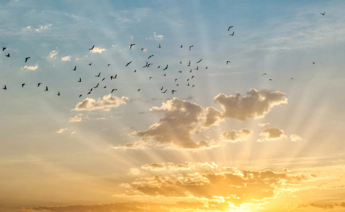 Каталог Картина небо: Небо и космос | Wall-Style