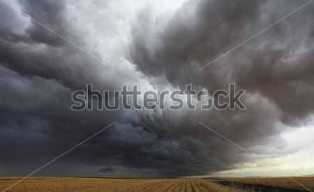 Каталог Фотообои планеты:  | Wall-Style