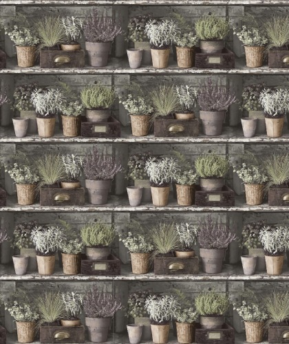Каталог Фотообои горшки с цветами:  | Wall-Style