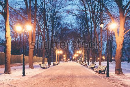 Каталог Фотообои зимний парк:  | Wall-Style