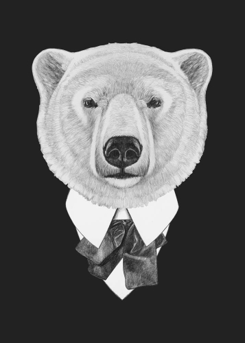 Каталог Фотообои медведь в костюме:  | Wall-Style