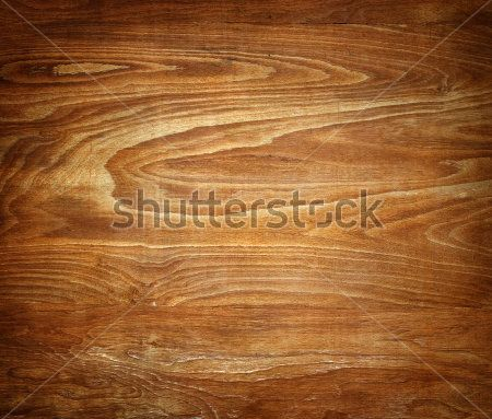 Каталог Фотообои дерево:  | Wall-Style