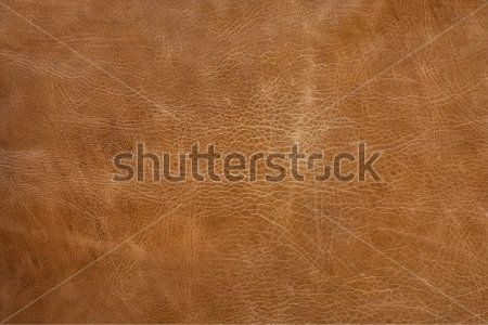 Каталог Фотообои кожа:  | Wall-Style