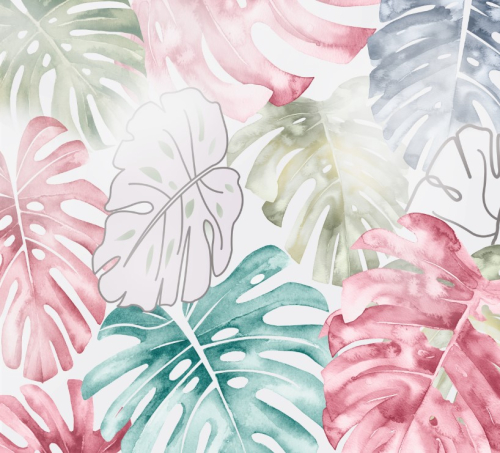 Монстера цветная