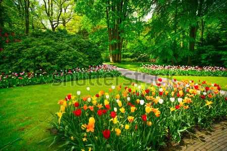 Каталог Фотообои парк:  | Wall-Style