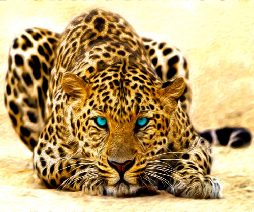 Каталог Фотообои леопард с голубыми глазами:  | Wall-Style