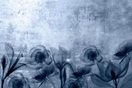 Каталог Фотообои синие цветы:  | Wall-Style