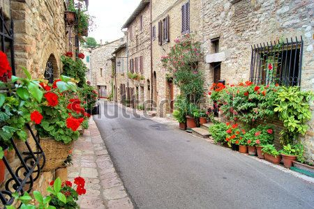 Каталог Фотообои улица:  | Wall-Style