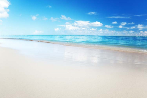 Каталог Картина солнечный пляж: Море | Wall-Style