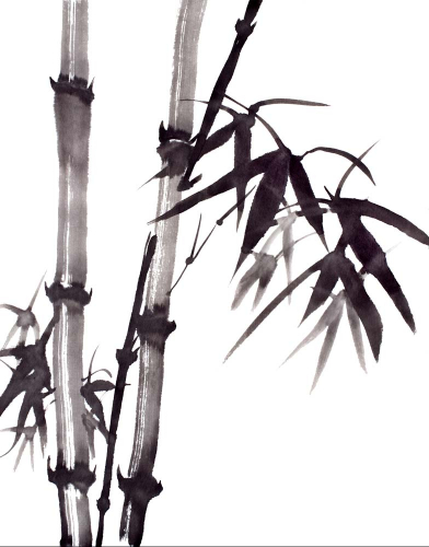 Каталог Картина темный бамбук: Цветы и растения | Wall-Style