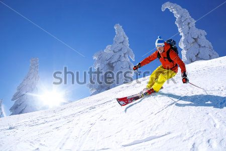 Каталог Картина лыжник: Спорт | Wall-Style