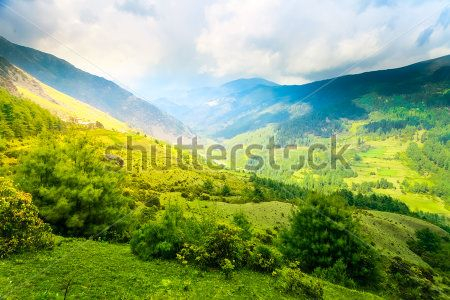 Каталог Фотообои горы:  | Wall-Style