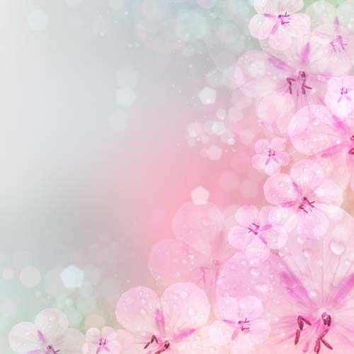 Каталог Картина нежные лютики: Цветы и растения | Wall-Style