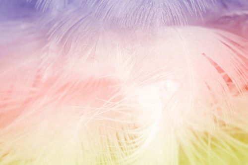 Каталог Фотообои розовые перья:  | Wall-Style