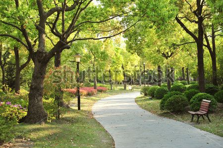 Каталог Фотообои парк:  | Wall-Style