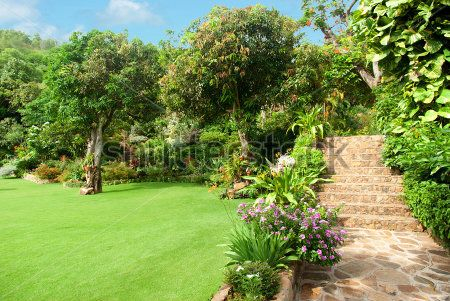 Каталог Картина парк: Природа | Wall-Style