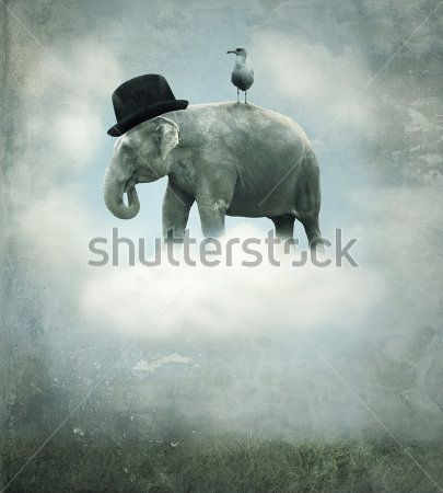 Каталог Фотообои слон:  | Wall-Style