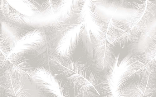 Каталог Фотообои перья белые:  | Wall-Style