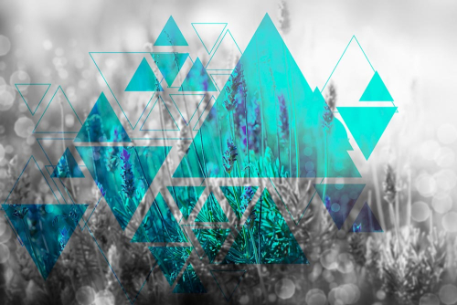 Каталог Картина арт лаванда: Цветы и растения | Wall-Style