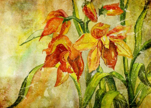 Каталог Фотообои лилия:  | Wall-Style