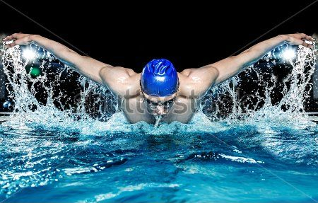 Каталог Картина плавец: Спорт | Wall-Style