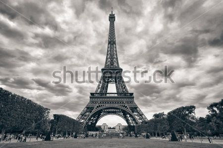 Каталог Фотообои эйфелева башня:  | Wall-Style