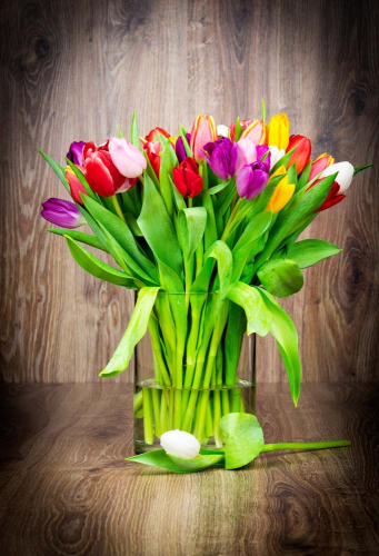 Каталог Картина тюльпаны в вазе: Цветы и растения | Wall-Style