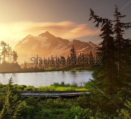Каталог Картина горы: Природа | Wall-Style
