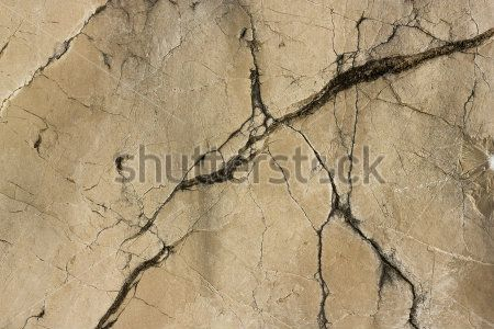 Каталог Фотообои земля:  | Wall-Style