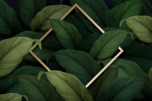 Каталог Фотообои насыщенные листья:  | Wall-Style