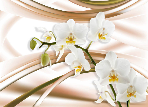 Каталог Фотообои абстракция с орхидеей:  | Wall-Style