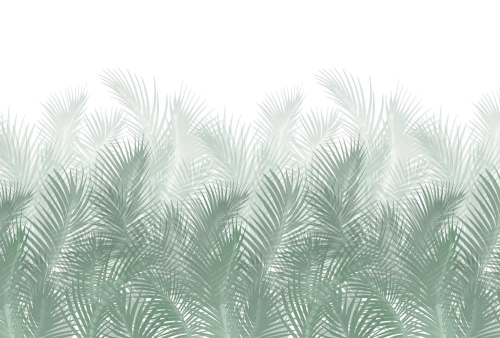 Пальмовые тропики