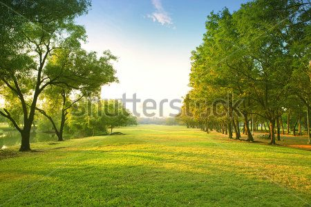 Каталог Фотообои парк:  | Wall-Style