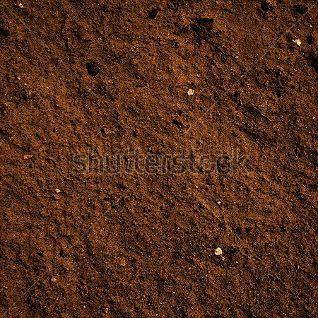 Каталог Фотообои грунт:  | Wall-Style
