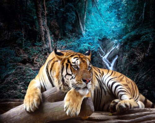 Каталог Картина тигр у водоема: Животные | Wall-Style