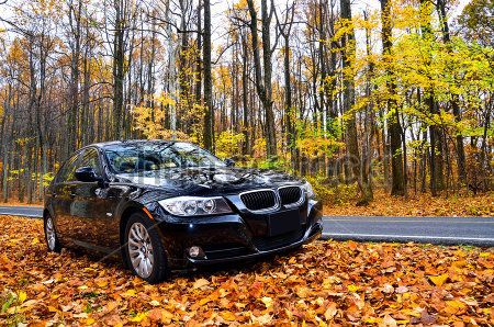 Каталог Фотообои bmw:  | Wall-Style