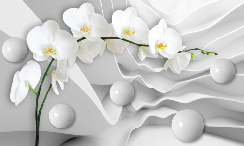 Каталог Фотообои орхидеи в пространстве:  | Wall-Style