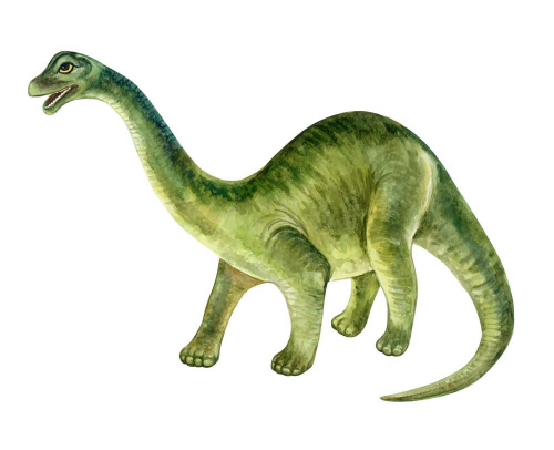 Каталог Фотообои травоядный динозавр:  | Wall-Style