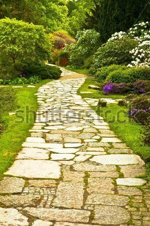 Каталог Фотообои парк:  | Wall-Style