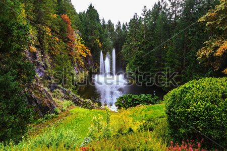 Каталог Фотообои лес:  | Wall-Style