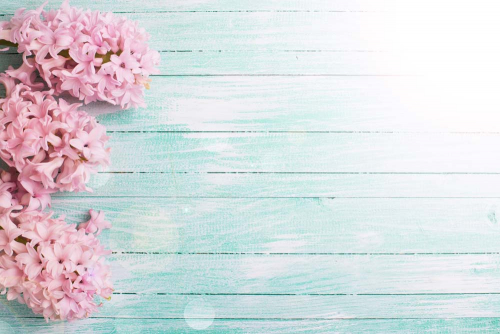 Каталог Фотообои гортензия на деревянном фоне:  | Wall-Style