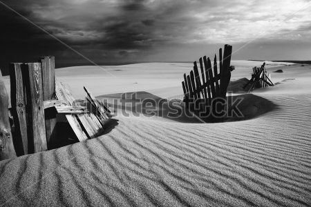 Каталог Фотообои пустыня:  | Wall-Style