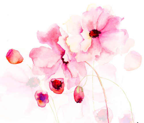 Каталог Фотообои рисованные цветы:  | Wall-Style