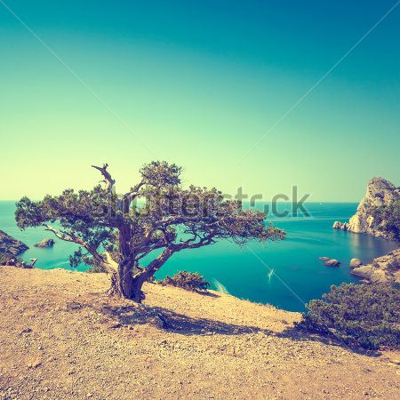 Каталог Фотообои вид на море:  | Wall-Style