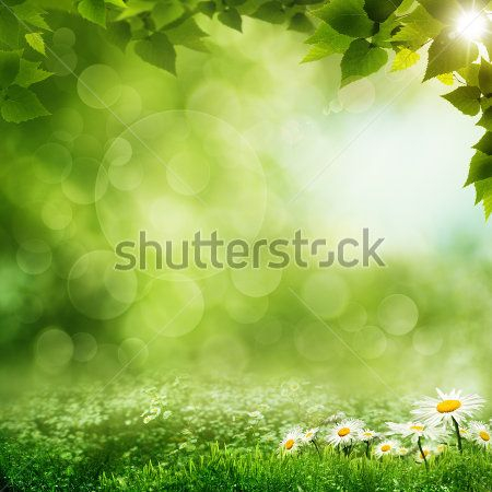 Каталог Фотообои парк:  | Wall-Style