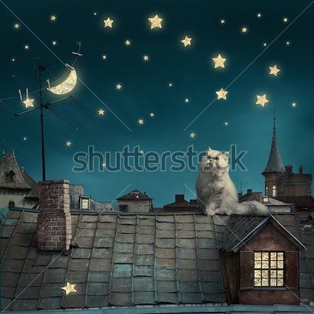 Каталог Фотообои кот на крыше:  | Wall-Style