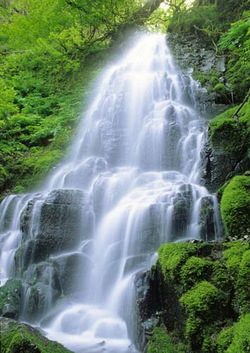 Каталог Фотообои ярусный водопад:  | Wall-Style